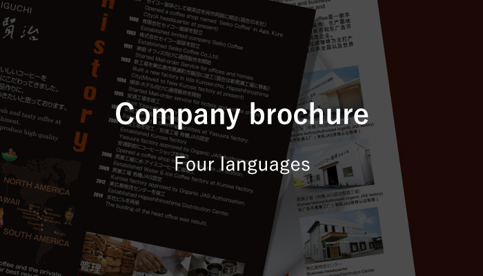 Company brochure Four languages